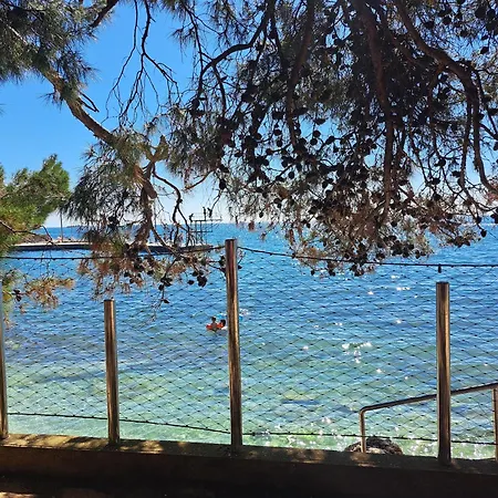Pinia-marina