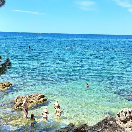 Pinia-marina Poreč