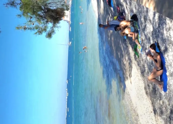 Pinia-marina *