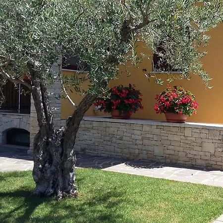 Pinia-marina Apartmán Poreč
