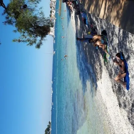 Pinia-marina * Porec