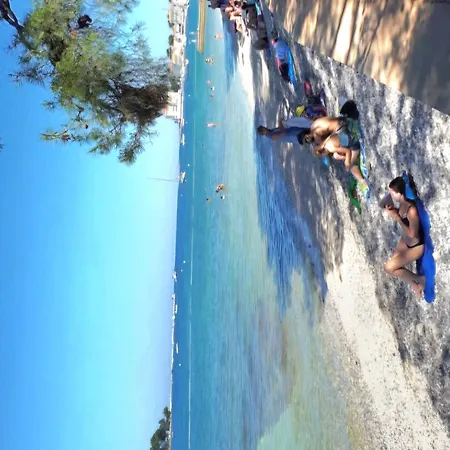 Pinia-marina *