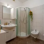 Pinia-marina Apartment *
