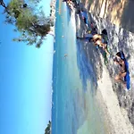 Pinia-marina *